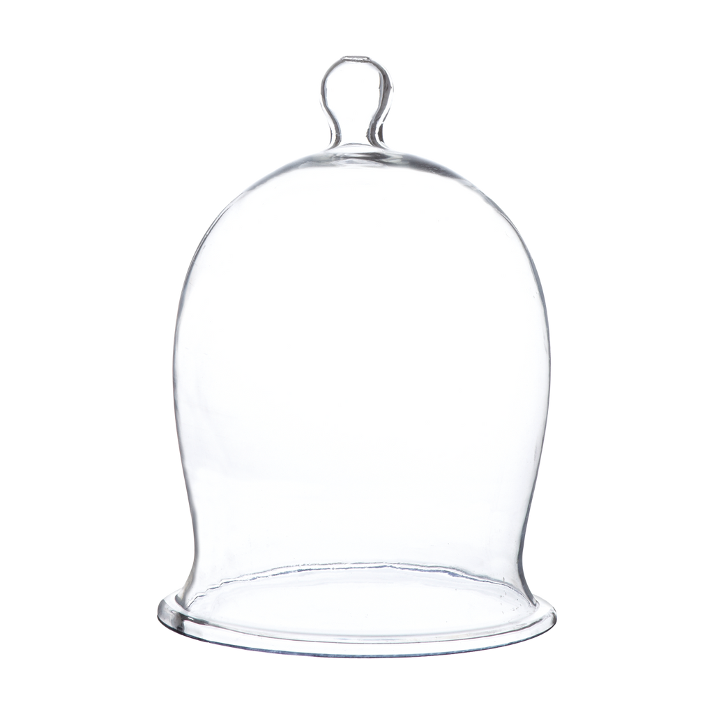 BELLA Bell jar L, Clear