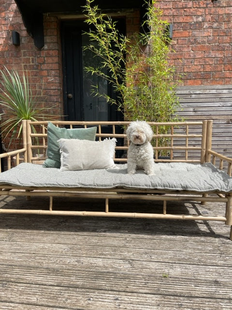 Maitri: Recycled Cream and Black stripes mattress