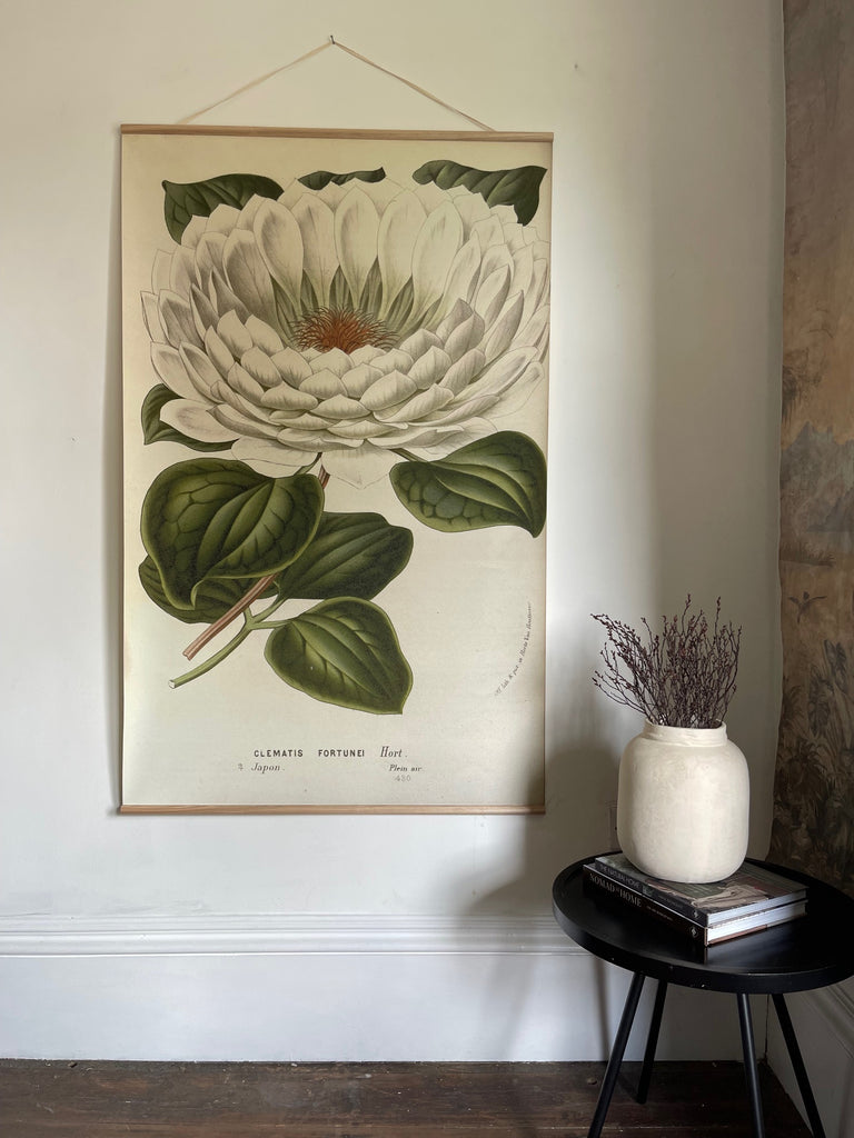 Canvas wall hanging - Clematis Fortunei