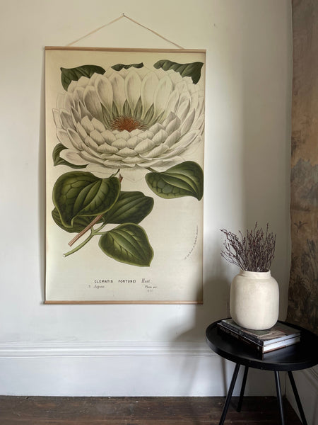 Canvas wall hanging - Clematis Fortunei