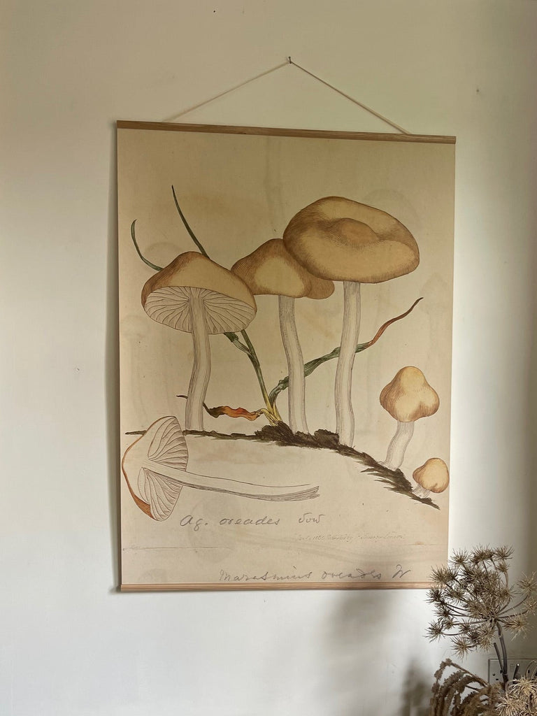 Canvas wall hanging - Oreades Mushrooms