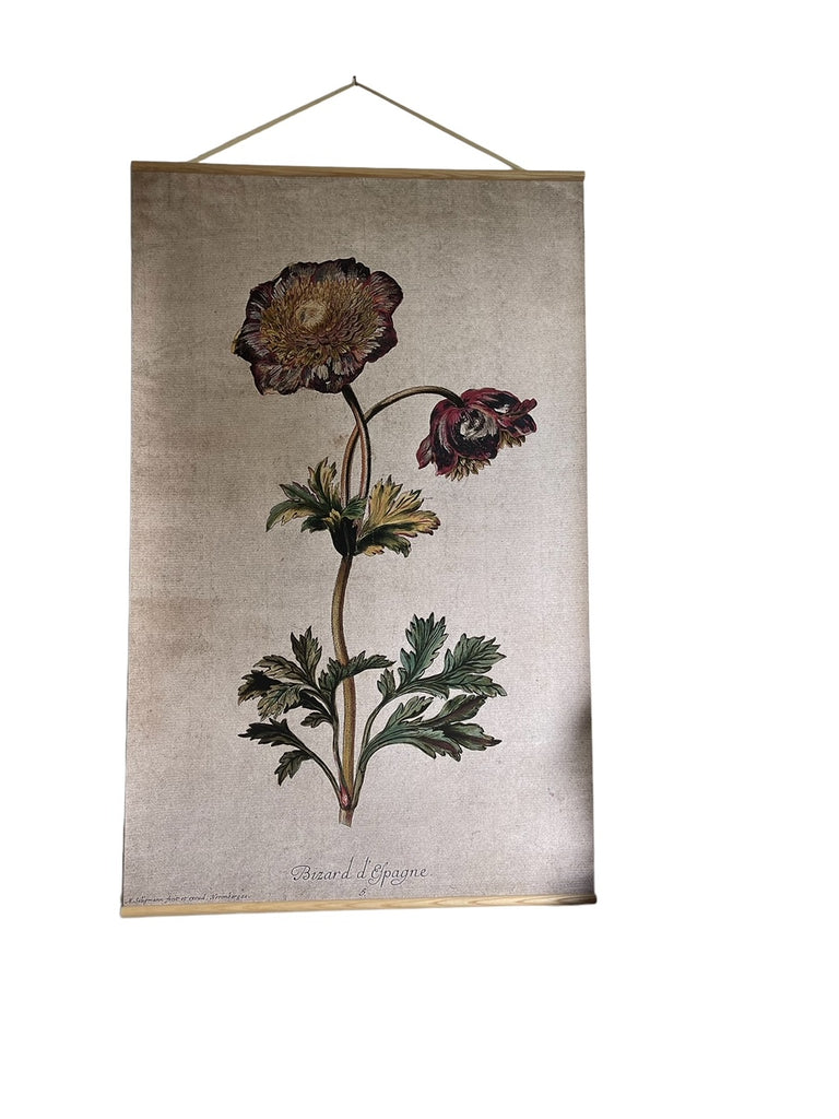 Canvas wall hanging - Anemone I Bizard d'Espagne