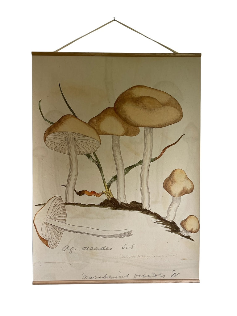 Canvas wall hanging - Oreades Mushrooms
