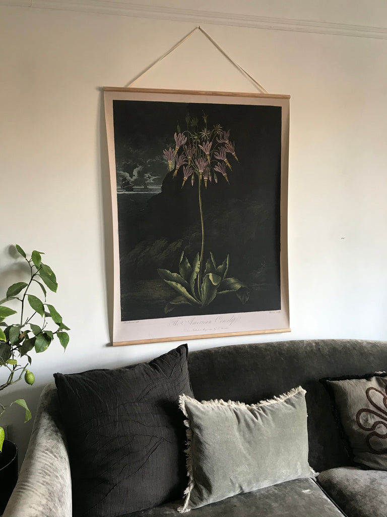 Canvas wall hanging - American Cowslip