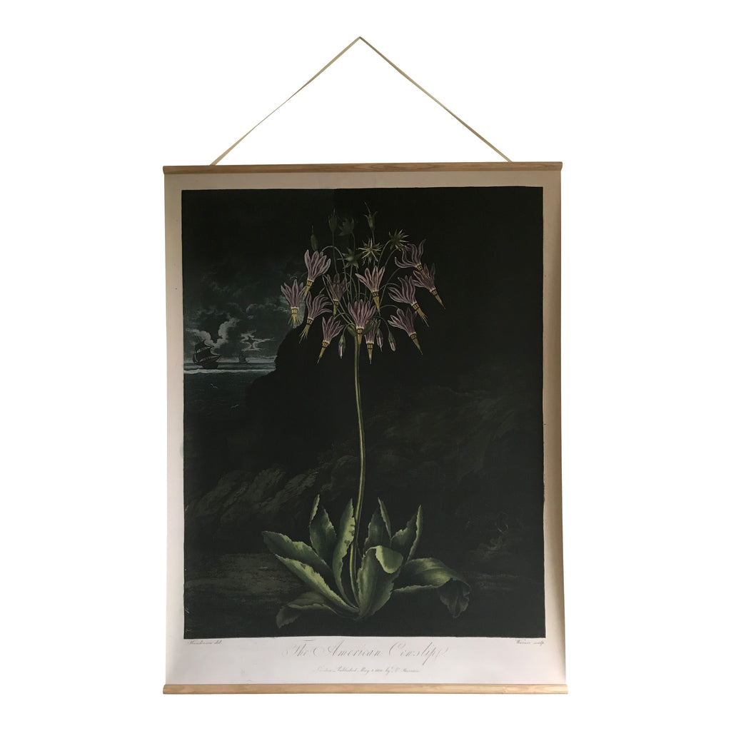 Canvas wall hanging - American Cowslip