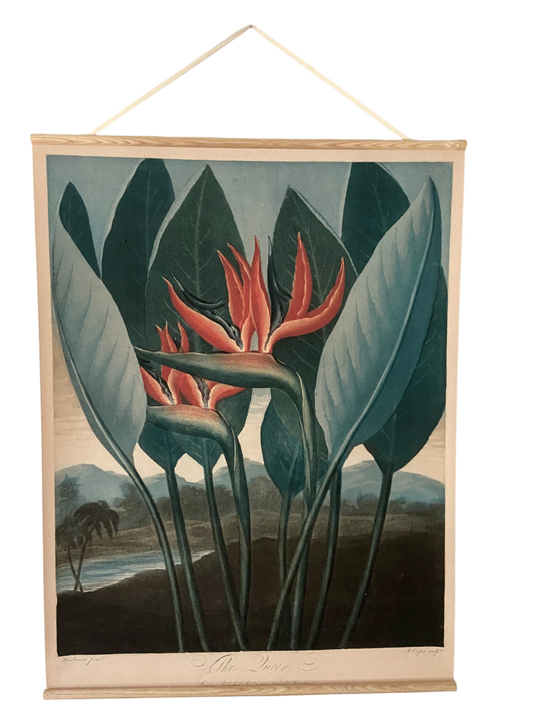 Canvas wall hanging - The Queen Plant