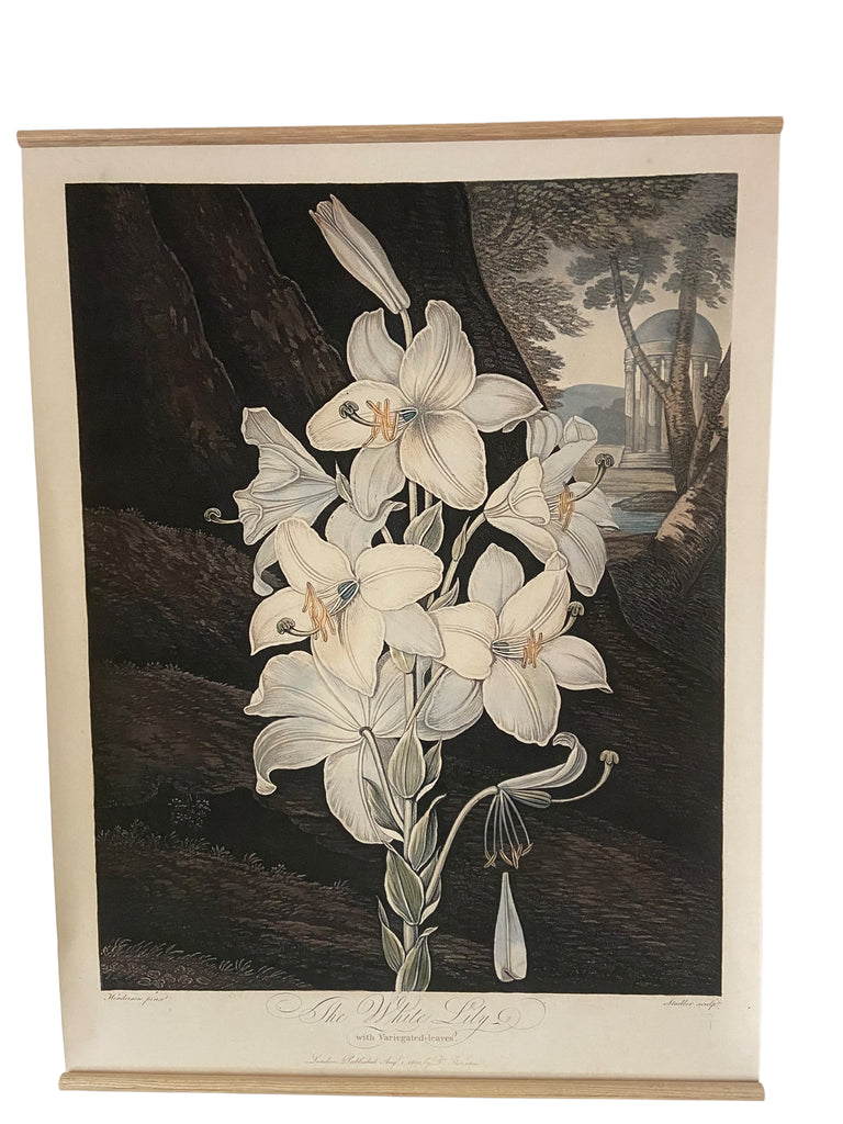 Canvas wall hanging - The White Lily