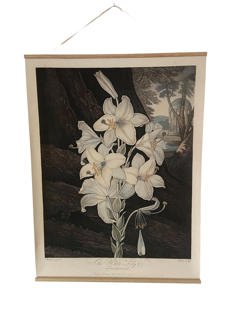 Canvas wall hanging - The White Lily