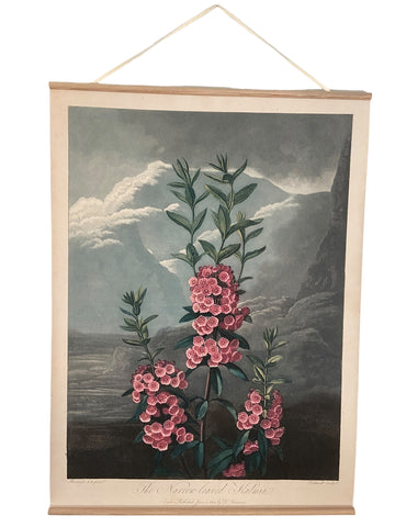 Canvas wall hanging - Kalmia