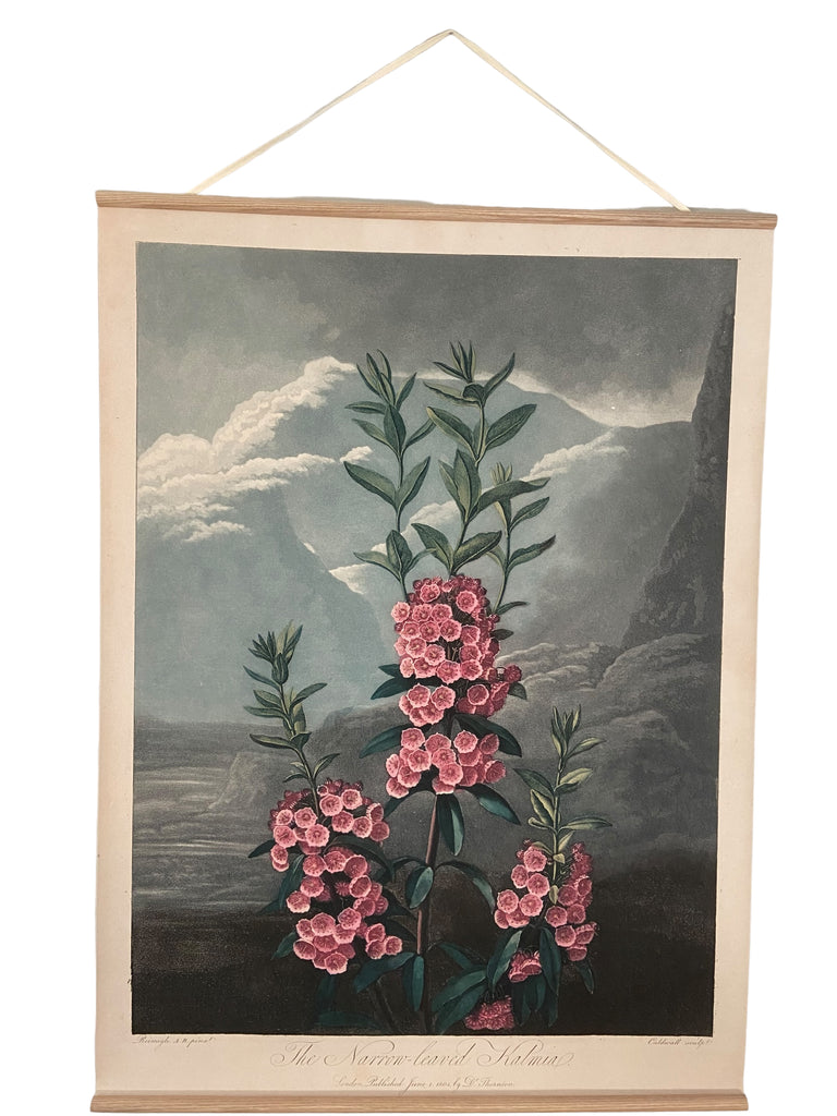Canvas wall hanging - Kalmia