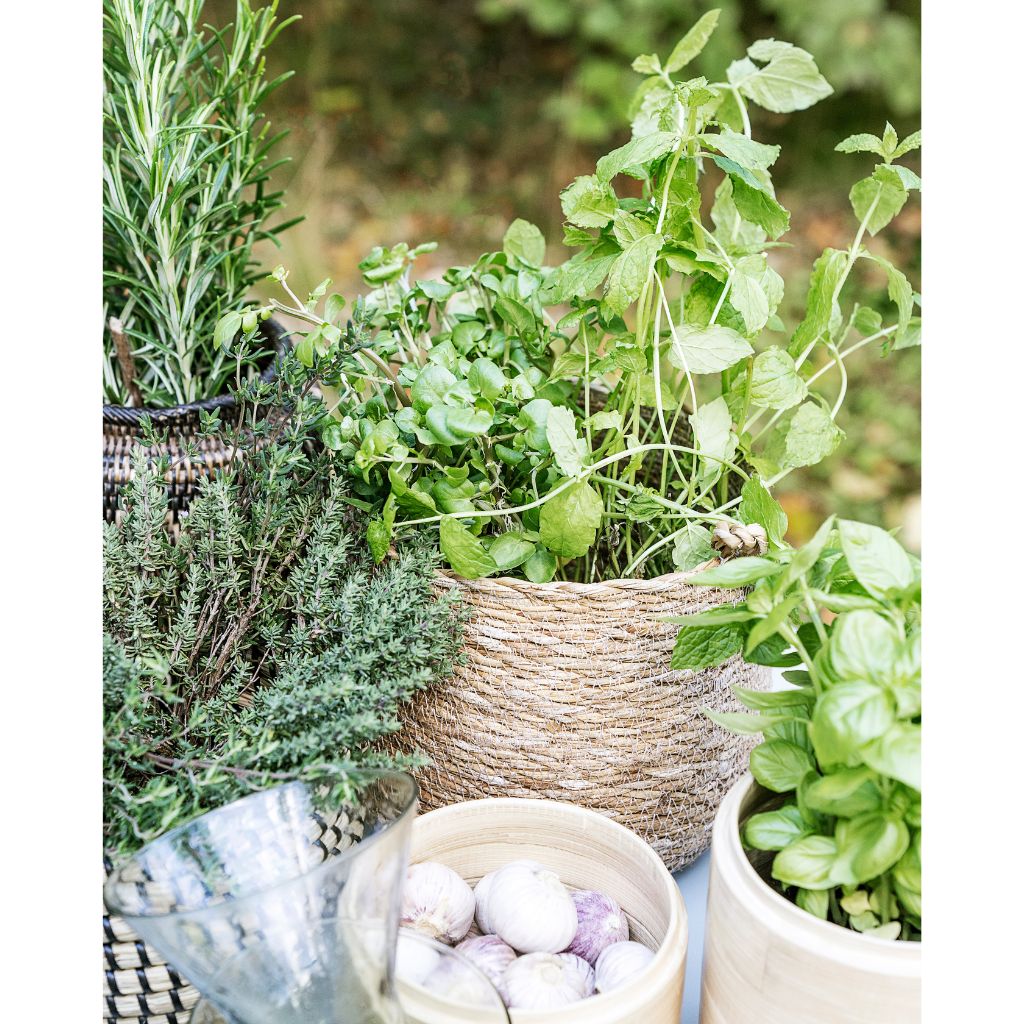 BASKET, HANG, NATURAL