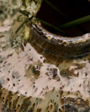 House Doctor Vase, HDBodi, Brown