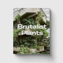 Brutalist Plants by Olivia Broome