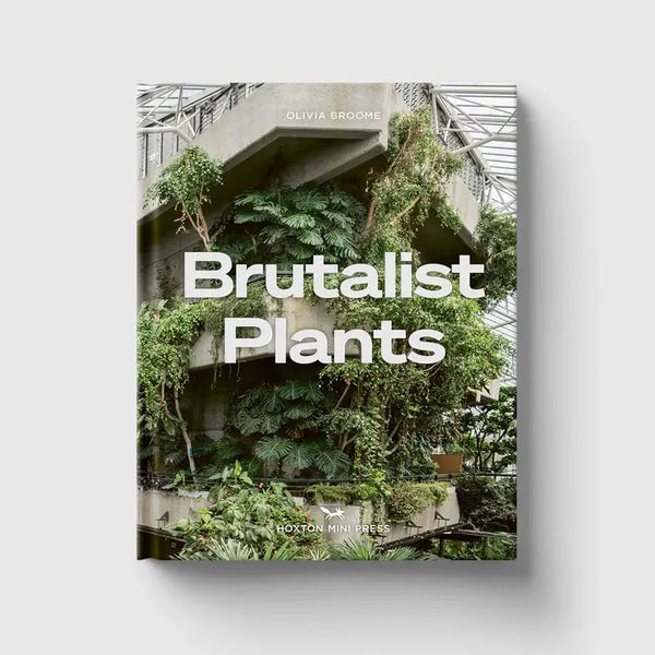 Brutalist Plants by Olivia Broome