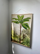 Botanical Canvas wall hanging