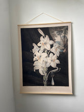 Canvas wall hanging - The White Lily