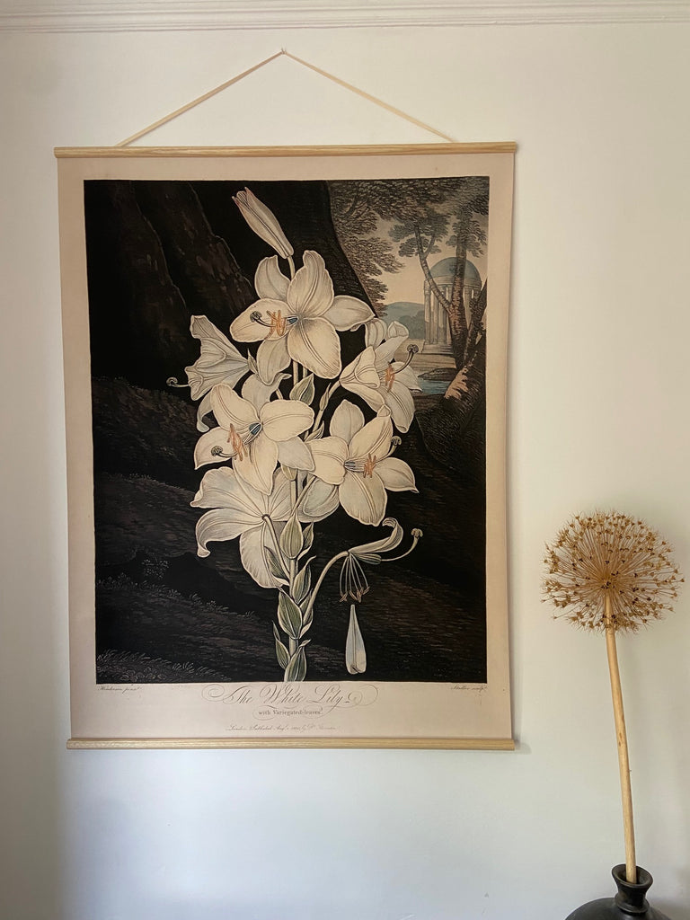 Canvas wall hanging - The White Lily