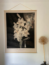 Canvas wall hanging - The White Lily
