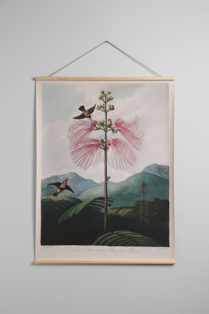 Canvas wall hanging - Flowering Plant