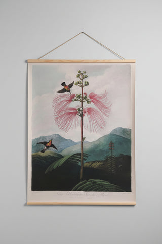 Canvas wall hanging - Flowering Plant