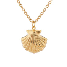 Sea Shell necklace