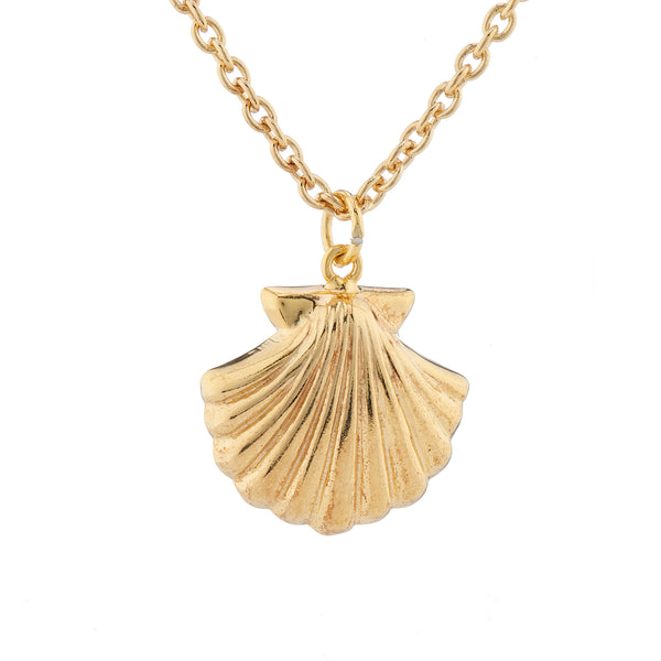 Sea Shell necklace