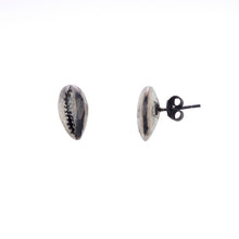 Cowrie shell Studs oxidised silver