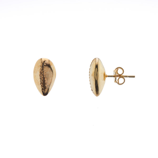 Cowrie shell Studs gold plated