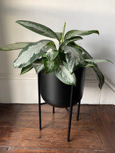 WDTS Black Metal Planter with Legs