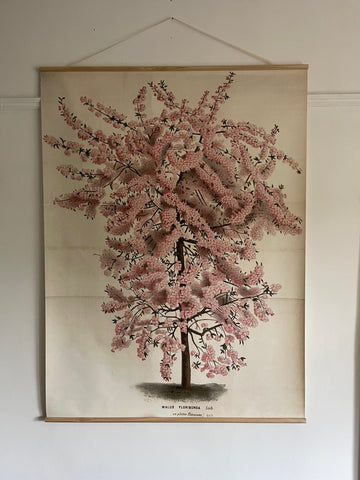 Canvas wall hanging Malus Floribunda Blossom