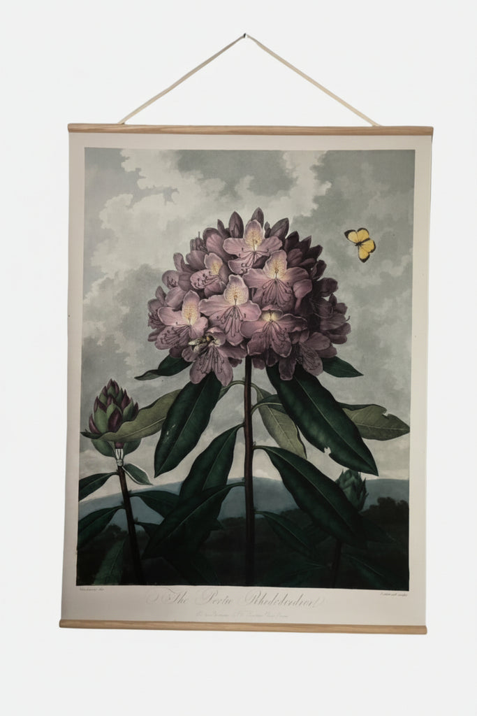 Canvas wall hanging - Pontic Rhododendron