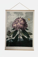 Canvas wall hanging - Pontic Rhododendron
