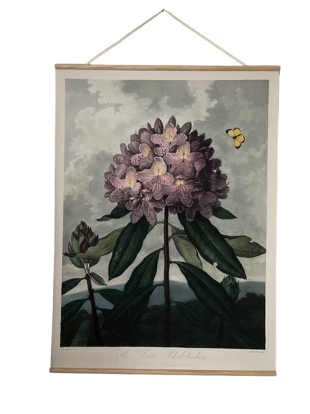Canvas wall hanging - Pontic Rhododendron