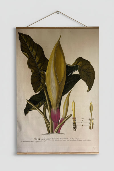 Canvas wall hanging - Venis Albis Italli