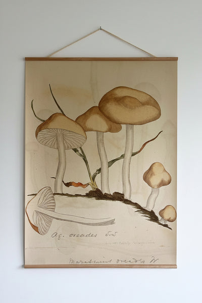Canvas wall hanging - Oreades Mushrooms