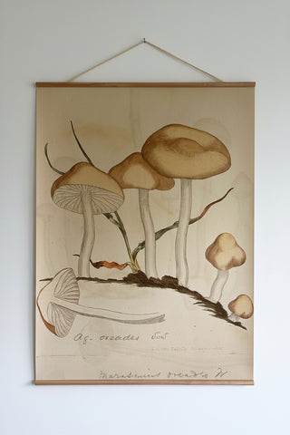 Canvas wall hanging - Oreades Mushrooms