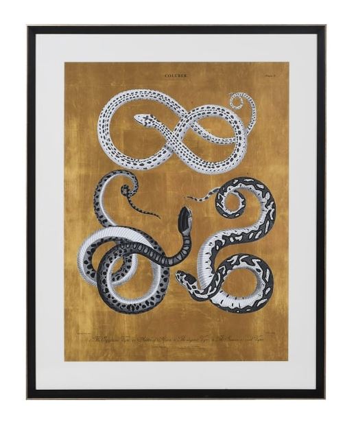 Python Snake Print Gold Framed Gold Snakes Print | CollardManson
