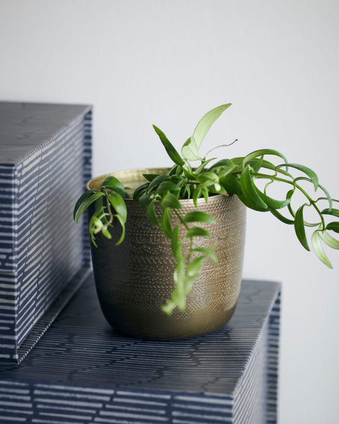 Planter, Chappra, Antique brass finish