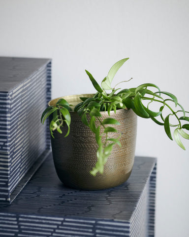 Planter, Chappra, Antique brass finish
