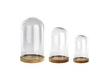 Clear Glass Dome Small