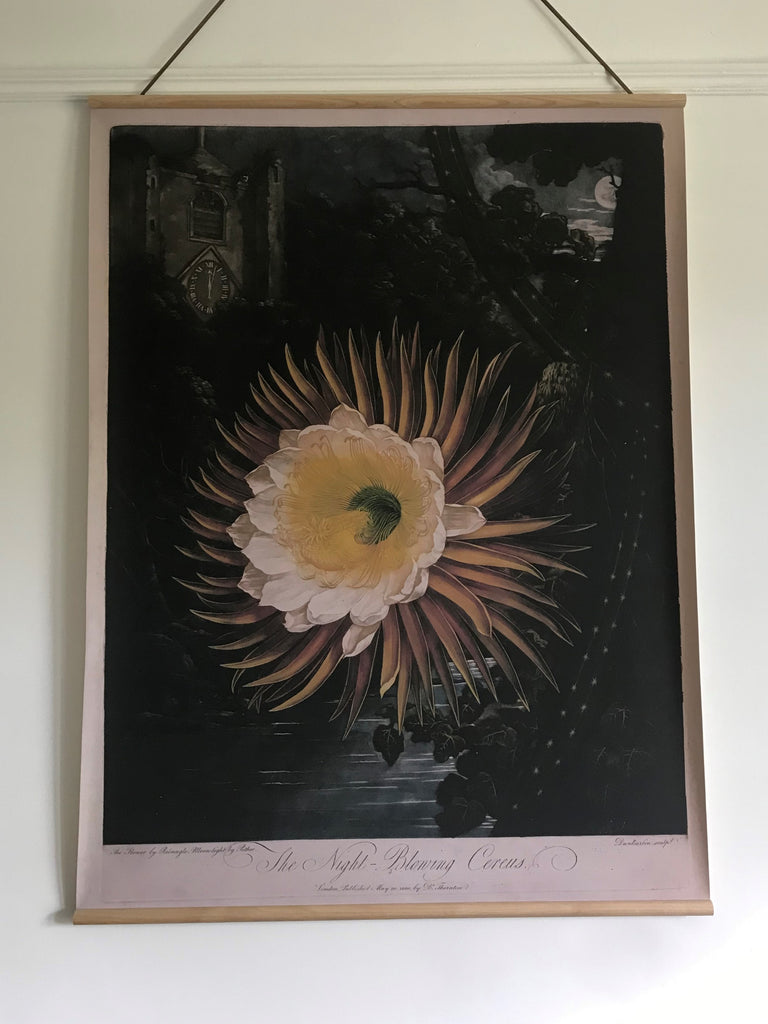 Canvas wall hanging - The Night Cereus