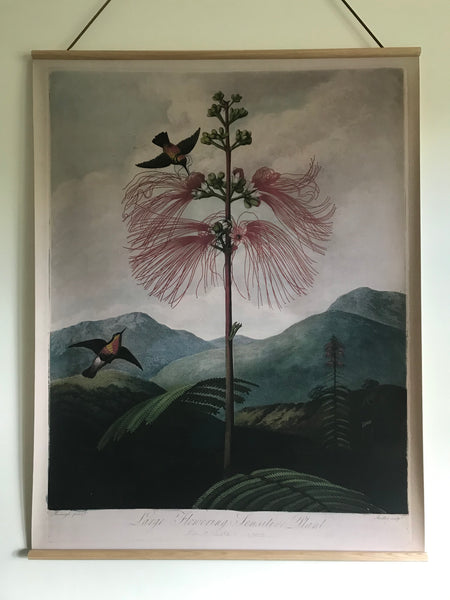 Canvas wall hanging - Flowering Plant