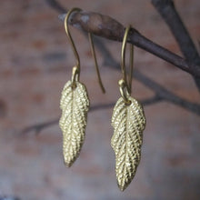 CollardManson 925 Silver Leaf Earrings- gold