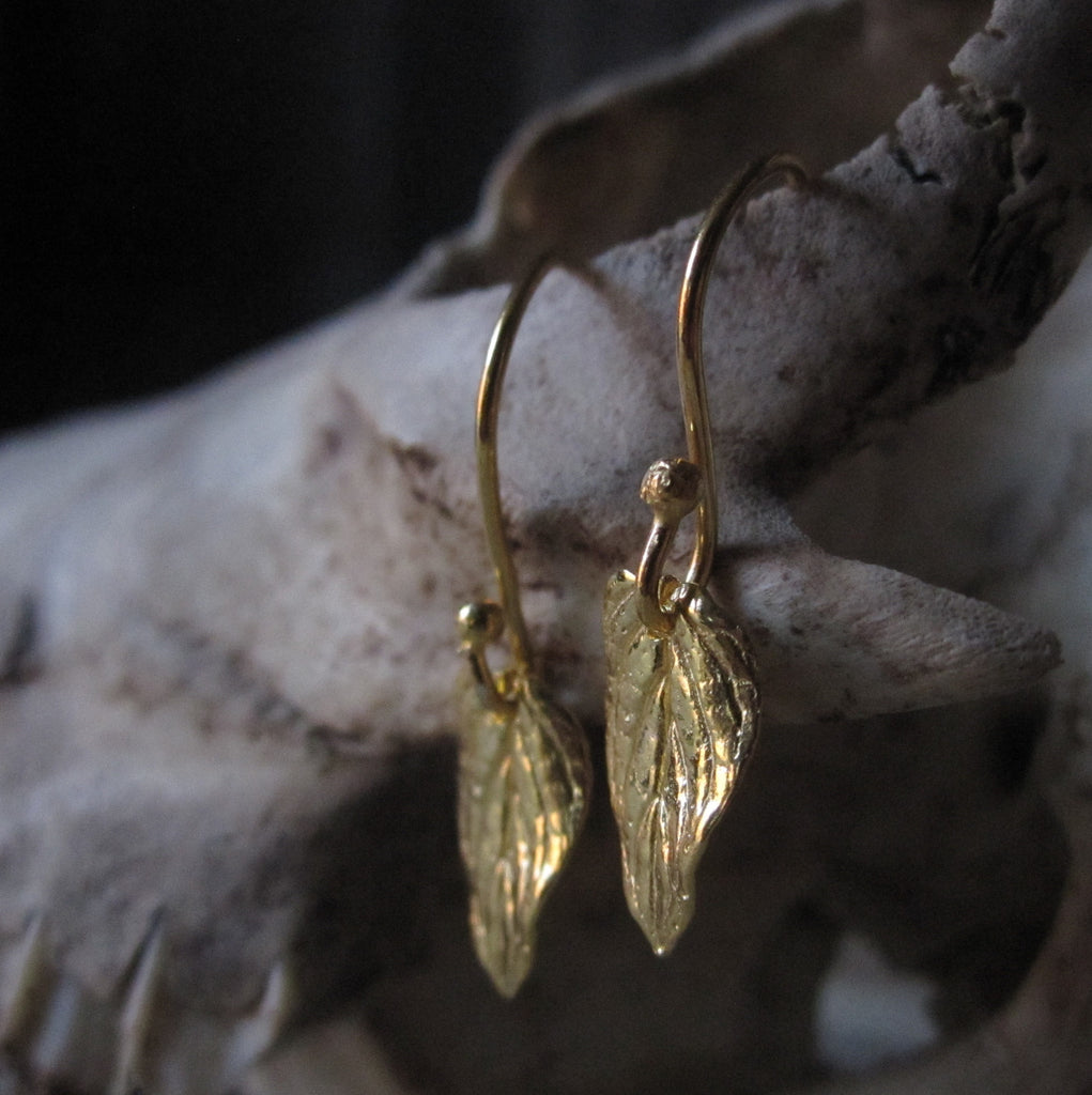 CollardManson 925 Silver Small Leaf Earrings- gold