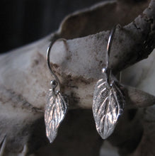 CollardManson 925 Silver Small Leaf Earrings