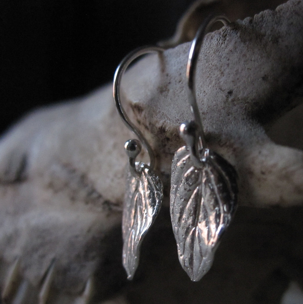 CollardManson 925 Silver Small Leaf Earrings