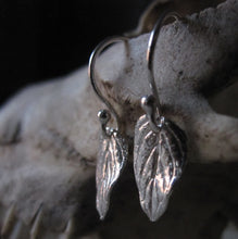 CollardManson 925 Silver Small Leaf Earrings