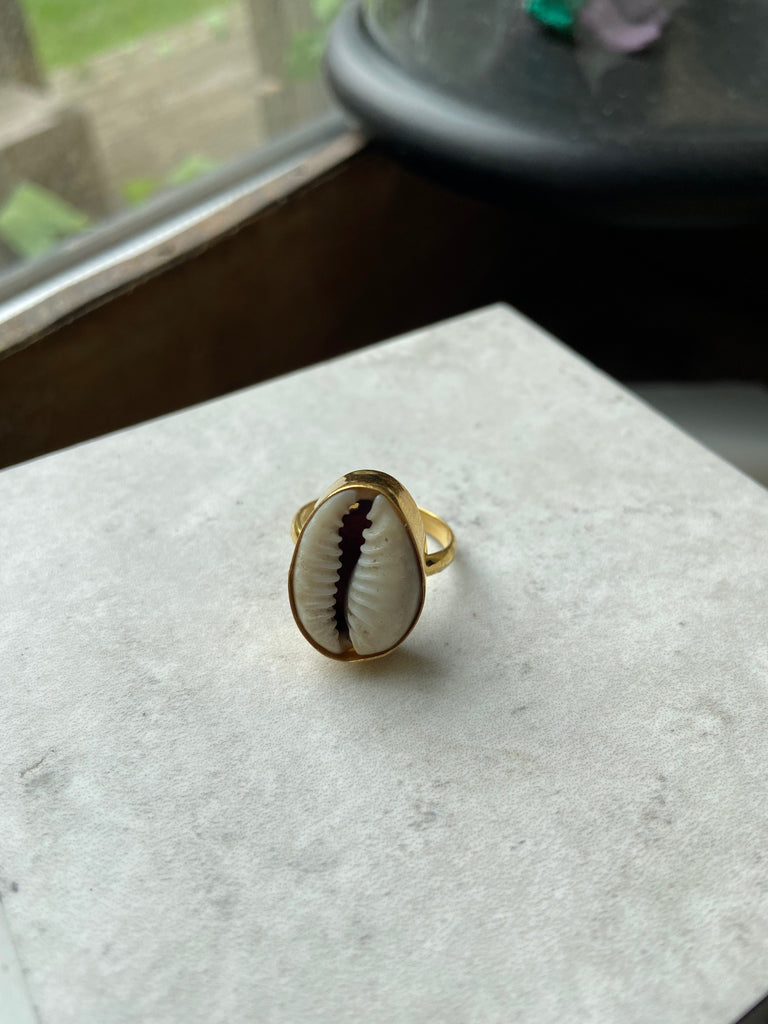 Cowrie ring