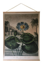 Canvas wall hanging - Blue Flowering Plant