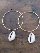 Cowrie shell hoop earrings